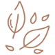 Brown.png